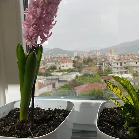 Redi Center * Elbasan